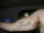 laura tattoo