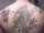 MotocrossRider tattoo