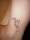 tracy tattoo