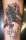Roger Rabid tattoo