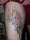 duff835 tattoo