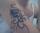 DeAnges (G.S.S) tattoo