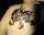 Mish tattoo