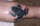 patrick tattoo