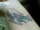 Jessica tattoo