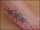 kat tattoo
