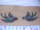 Gaz Lee Crofts (Skin n Ink) tattoo