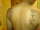 sherwin tattoo