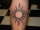 todd tattoo