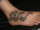 stephie1669 tattoo
