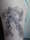 Weezer tattoo