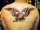 Mayhem tattoo