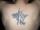 TattED4LiFe tattoo