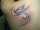 Savannah tattoo