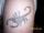 Jonathan F. tattoo