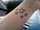 Scotslass tattoo