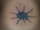 J.R. tattoo