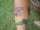 J.R. tattoo