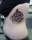 jorge tattoo