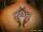 cooterlooter tattoo