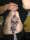 Daniel tattoo