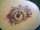 Vinnie tattoo