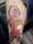 Melissa tattoo