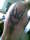 Tony tattoo