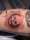 Jamie tattoo