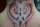 jessica tattoo