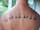 bigpapa54 tattoo
