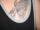 KalleFromHell tattoo