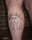 erin tattoo
