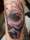 Robert tattoo