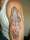 geegeedee tattoo
