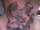 Gaz Lee Crofts (Skin n Ink) tattoo