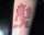Travis tattoo
