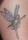 Butterflye Tam tattoo
