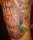 J Dog tattoo