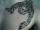 Paul Rodney/BLAZINCOLORS tattoo