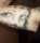 Ink2thebone tattoo