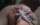 my fav star tattoo