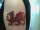 WELSH DRAGON tattoo
