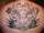 back        tiger tattoo