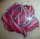 rose tattoo