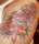 Top View of Koi ArmBand tattoo