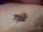 First Tattoo tattoo