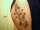 First tattoo tattoo
