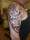 right arm tattoo tattoo