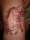 unicorn cherry blossoms tattoo